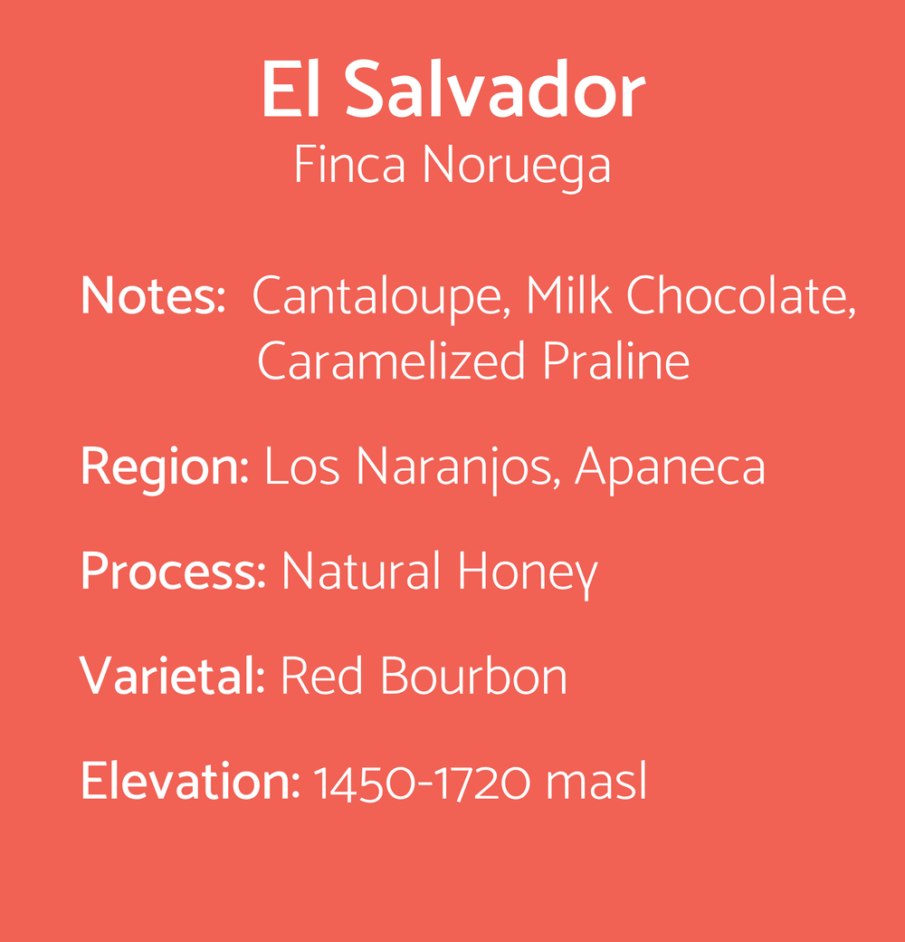 El Salvador - Finca Noruega — Kenz Coffee Roasters